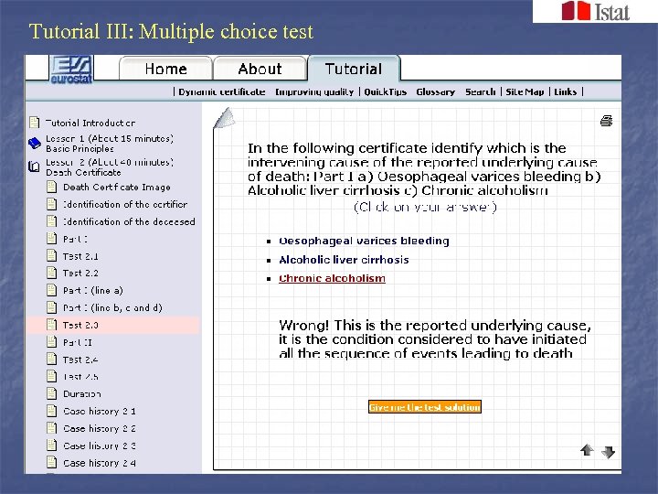Tutorial III: Multiple choice test 