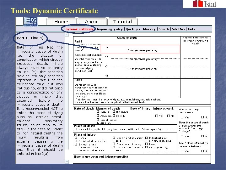 Tools: Dynamic Certificate 