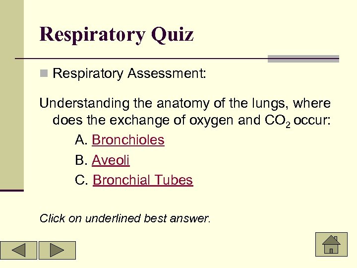 Respiratory Quiz n Respiratory Assessment: Understanding the anatomy of the lungs, where does the