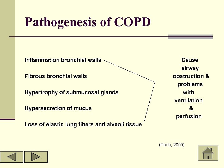 Pathogenesis of COPD Inflammation bronchial walls Fibrous bronchial walls Hypertrophy of submucosal glands Hypersecretion