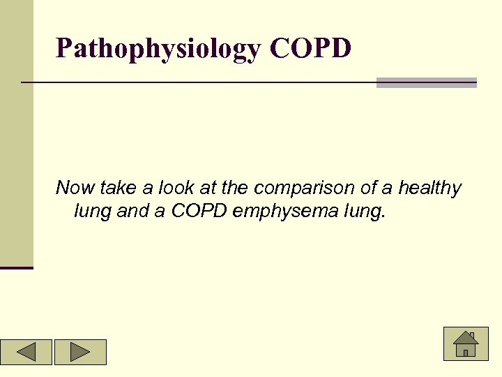 Pathophysiology COPD Now take a look at the comparison of a healthy lung and