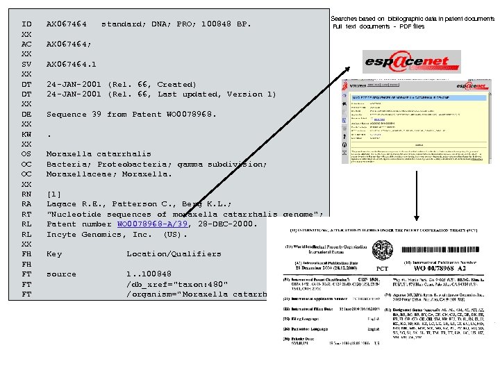 ID XX AC XX SV XX DT DT XX DE XX KW XX OS