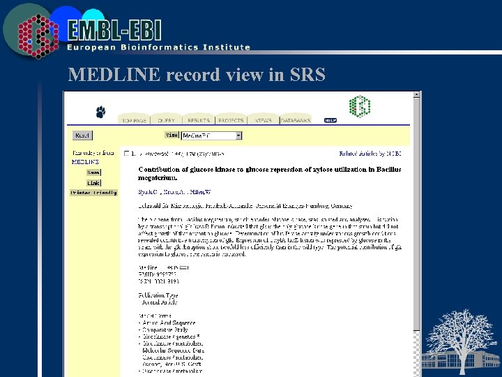MEDLINE record view in SRS 
