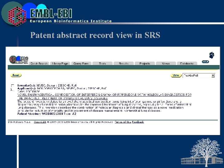 Patent abstract record view in SRS 