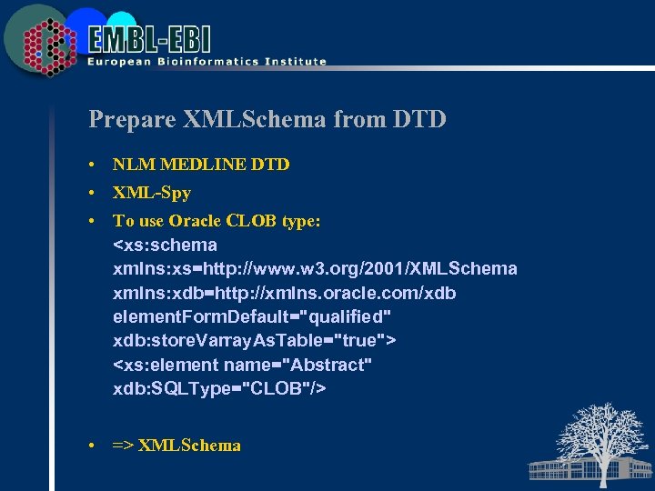 Prepare XMLSchema from DTD • NLM MEDLINE DTD • XML-Spy • To use Oracle