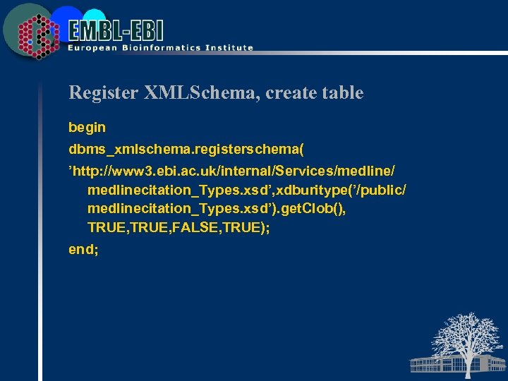 Register XMLSchema, create table begin dbms_xmlschema. registerschema( ’http: //www 3. ebi. ac. uk/internal/Services/medline/ medlinecitation_Types.