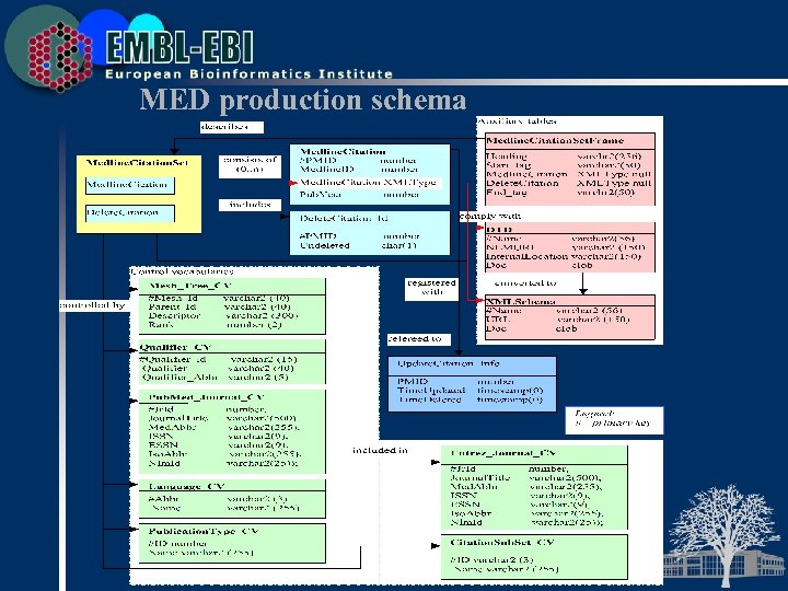 MED production schema 