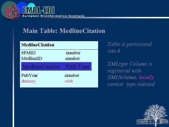 Main Table: Medline. Citation #PMID Medline. Citation Pub. Year dummy number XMLType number clob