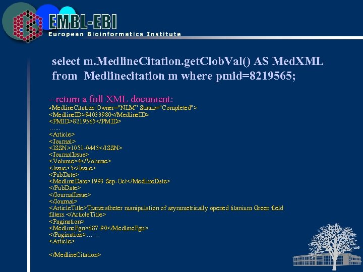 select m. Medline. Citation. get. Clob. Val() AS Med. XML from Medlinecitation m where
