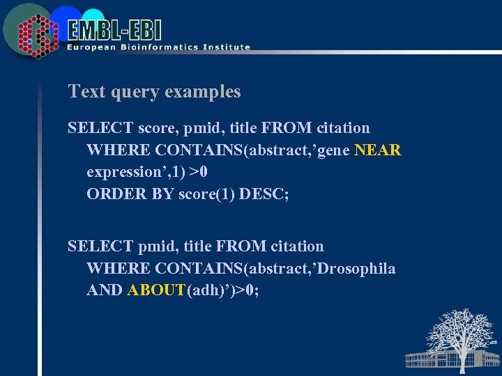 Text query examples SELECT score, pmid, title FROM citation WHERE CONTAINS(abstract, ’gene NEAR expression’,