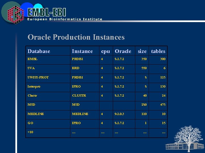 Oracle Production Instances Database Instance cpu Oracle size tables EMBL PRDB 1 4 8.