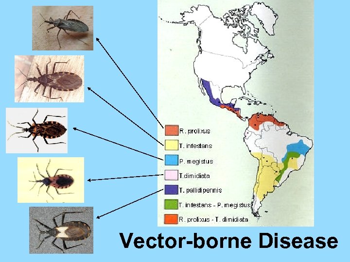Vector-borne Disease 