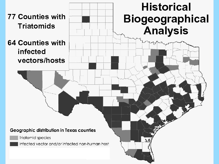 77 Counties with Triatomids 64 Counties with infected vectors/hosts Historical Biogeographical Analysis 