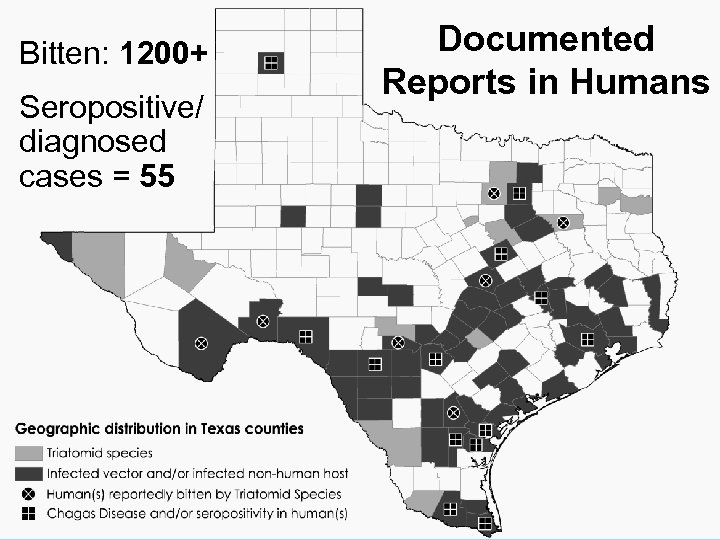 Bitten: 1200+ Seropositive/ diagnosed cases = 55 Documented Reports in Humans 