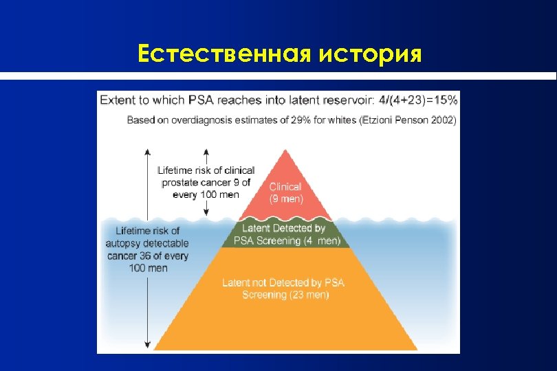 Естественная история 