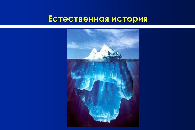 Естественная история 