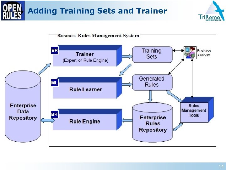 Adding Training Sets and Trainer Tri. Reme www. trireme. com BR ML BR 14