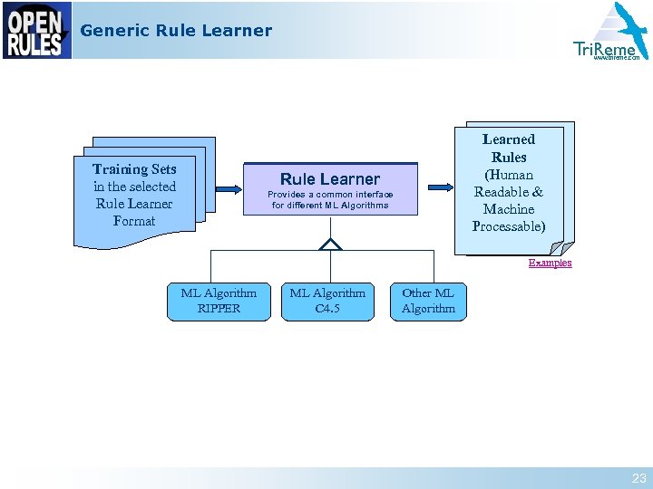 Generic Rule Learner Tri. Reme www. trireme. com Training Sets in the selected Rule