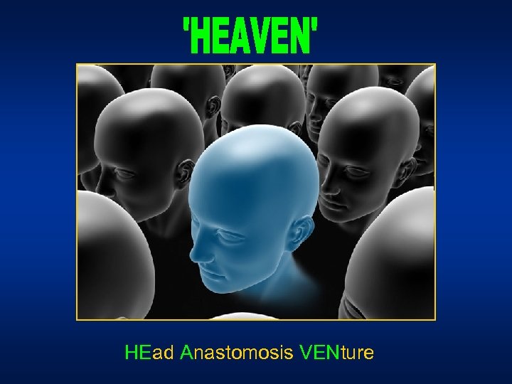 HEad Anastomosis VENture 