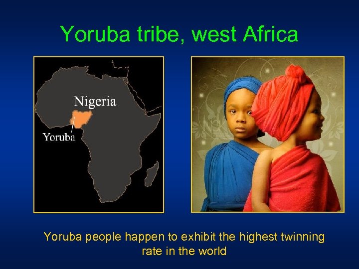 Yoruba tribe, west Africa Yoruba people happen to exhibit the highest twinning rate in