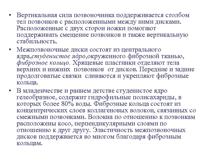  • Вертикальная сила позвоночника поддерживается столбом тел позвонков с расположенными между ними дисками.