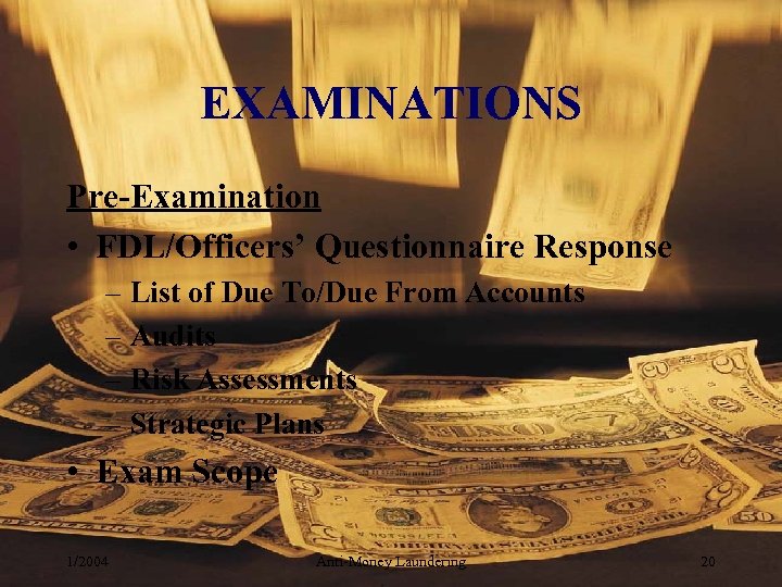 EXAMINATIONS Pre-Examination • FDL/Officers’ Questionnaire Response – List of Due To/Due From Accounts –