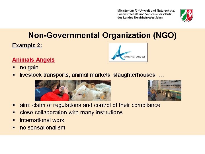Non-Governmental Organization (NGO) Example 2: Animals Angels § no gain § livestock transports, animal