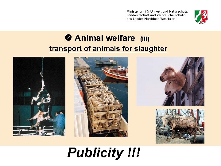  Animal welfare (III) transport of animals for slaughter Publicity !!! 