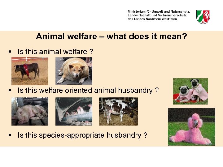 Animal welfare – what does it mean? § Is this animal welfare ? §