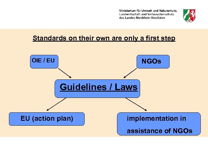 Standards on their own are only a first step OIE / EU NGOs Guidelines