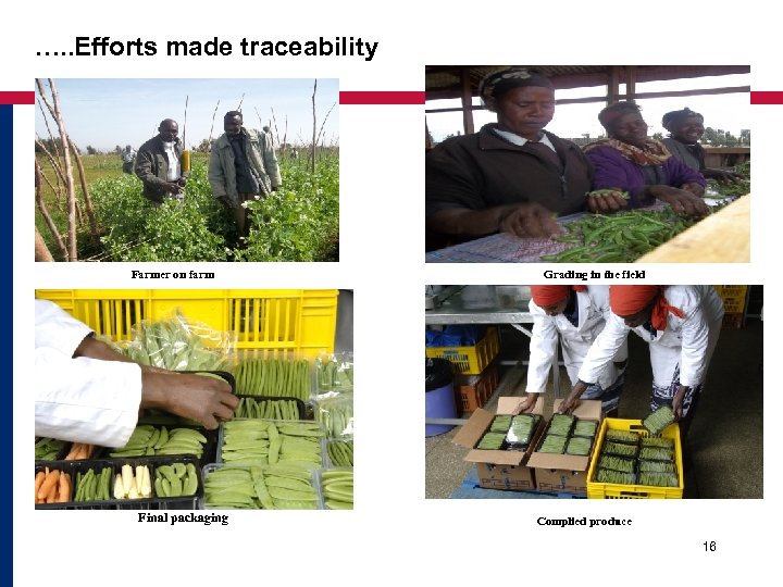 …. . Efforts made traceability Farmer on farm Final packaging Grading in the field