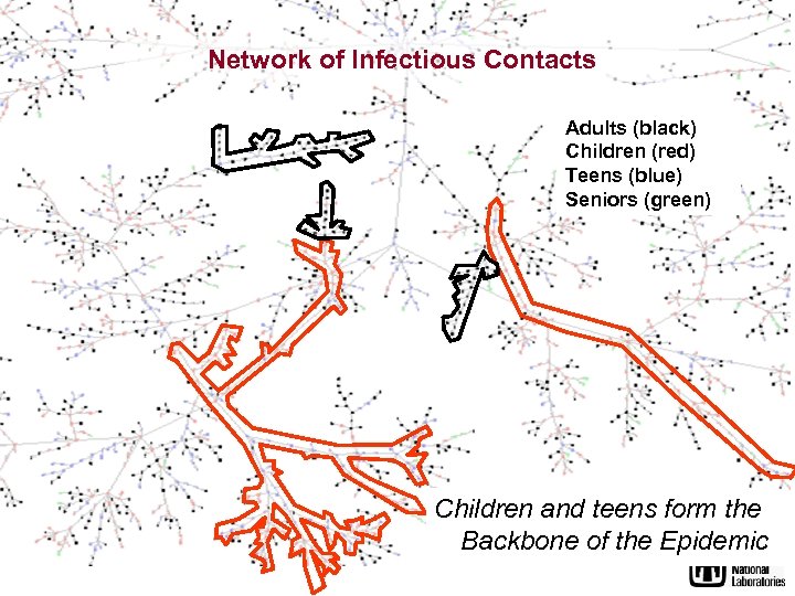 Network of Infectious Contacts Adults (black) Children (red) Teens (blue) Seniors (green) Children and