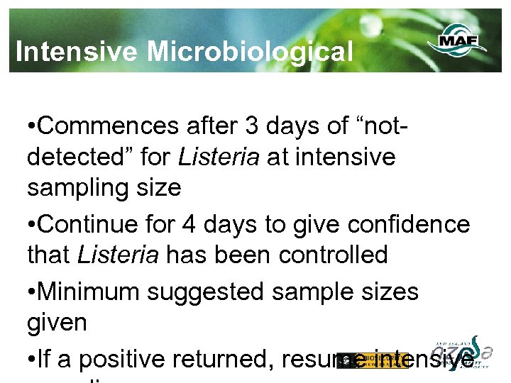 Intensive Microbiological Verification • Commences after 3 days of “notdetected” for Listeria at intensive