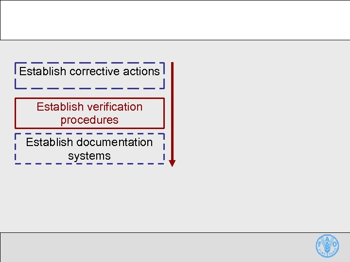 Establish corrective actions Establish verification procedures Establish documentation systems 