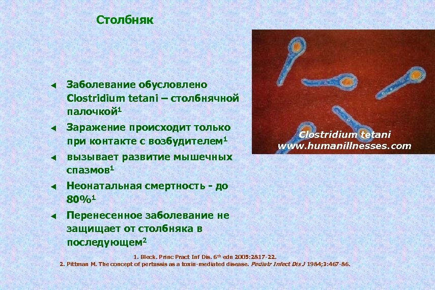 Столбняк эпидемиология. Столбнячная палочка Clostridium tetani. Клостридии возбудители столбняка. Столбнячная палочка микробиология. Столбняк вызывается бактериями.
