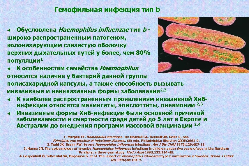 Haemophilus influenzae b. Гемофильная палочка микробиология. Гемофильная палочка характеристика возбудителя. Гемофильная палочка заболевания. Заболевания вызываемые гемофильной палочкой.