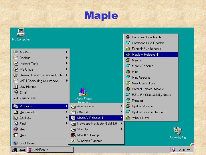 Maple 