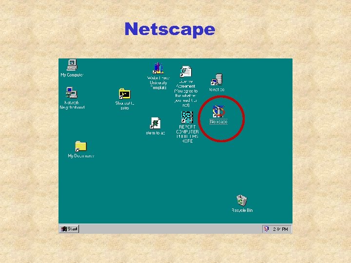 Netscape 