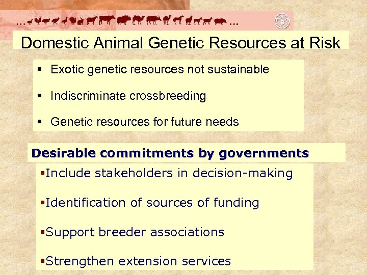 Domestic Animal Genetic Resources at Risk § Exotic genetic resources not sustainable § Indiscriminate