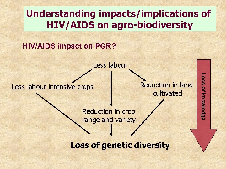 Understanding impacts/implications of HIV/AIDS on agro-biodiversity HIV/AIDS impact on PGR? Less labour Reduction in