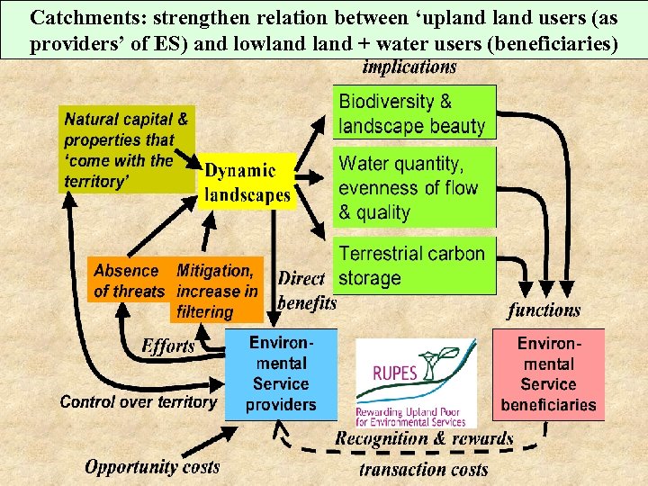 Catchments: strengthen relation between ‘upland users (as providers’ of ES) and lowland + water