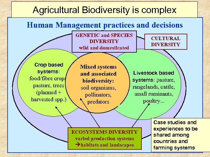 Agricultural Biodiversity is complex Human Management practices and decisions GENETIC and SPECIES DIVERSITY wild