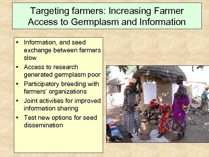 Targeting farmers: Increasing Farmer Access to Germplasm and Information • Information, and seed exchange