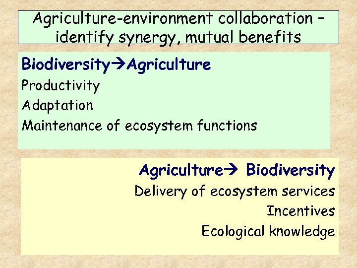 Agriculture-environment collaboration – identify synergy, mutual benefits Biodiversity Agriculture Productivity Adaptation Maintenance of ecosystem