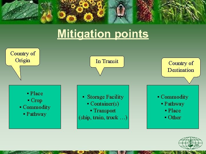 Mitigation points Country of Origin ▪ Place ▪ Crop ▪ Commodity ▪ Pathway In