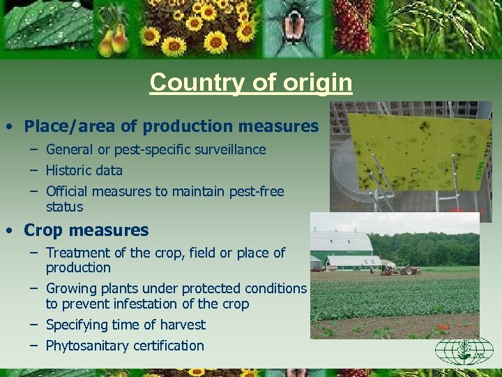 Country of origin • Place/area of production measures – General or pest-specific surveillance –