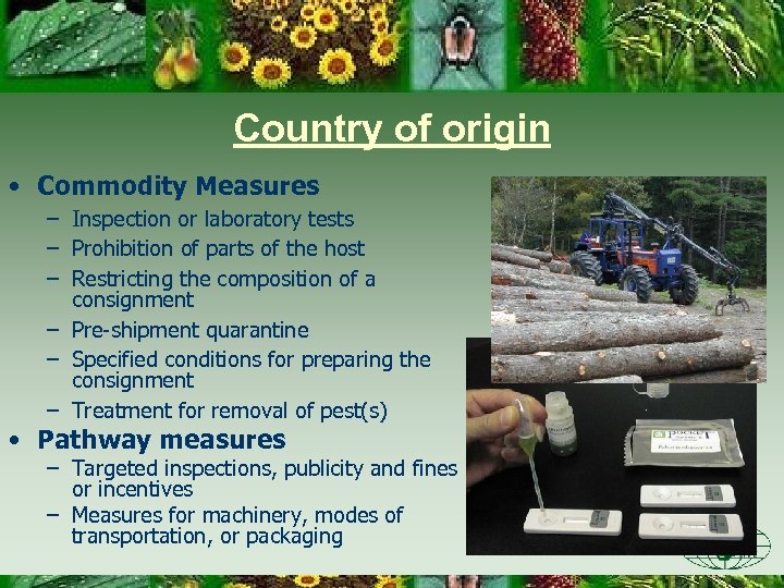 Country of origin • Commodity Measures – Inspection or laboratory tests – Prohibition of