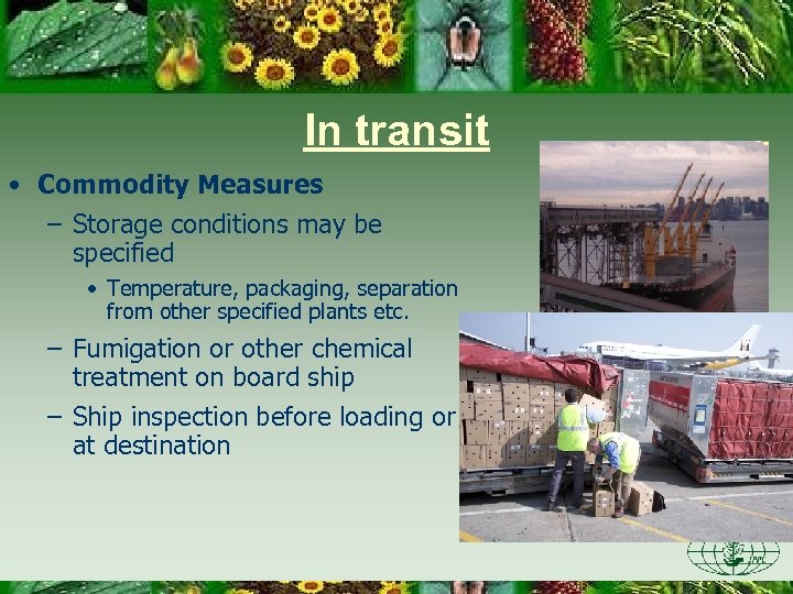 In transit • Commodity Measures – Storage conditions may be specified • Temperature, packaging,