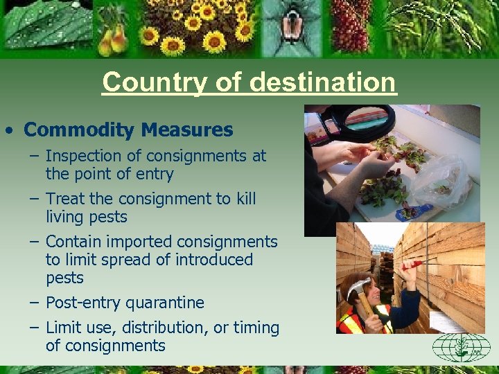 Country of destination • Commodity Measures – Inspection of consignments at the point of