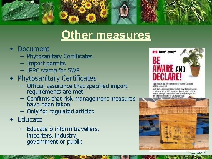 Other measures • Document – Phytosanitary Certificates – Import permits – IPPC stamp for